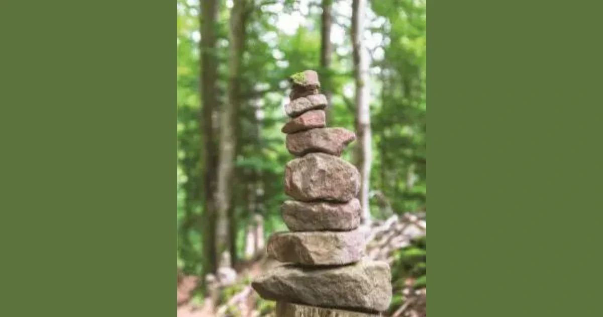 A balanced stack of stones in a forest.