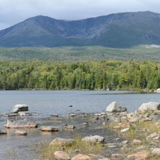 A rocky lake shore in front of a dense forest with a large mountain in the background.