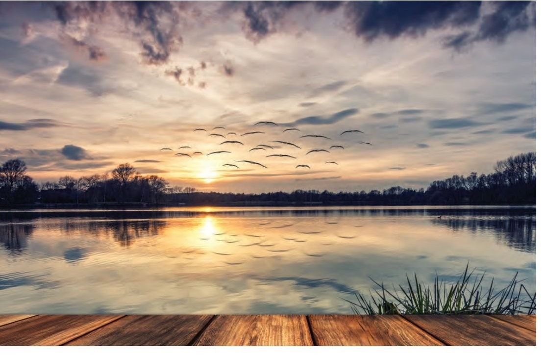 A flock of birds flies over a lake during a sunset, viewed from a wooden dock.