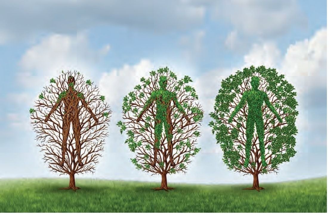Three figures shaped like trees in a grassy field, showing a transition from bare branches to full green foliage.