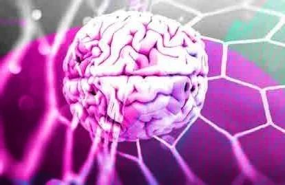 A human brain centered against a glowing, purple-toned hexagonal grid pattern.