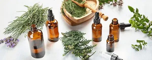 Several amber glass dropper bottles surrounded by fresh herbs, including lavender, mint, and evergreen sprigs.